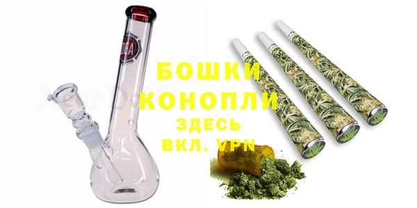 дмт Дмитриев