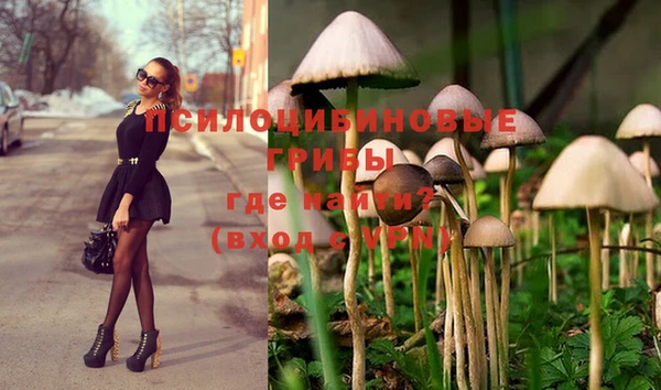 2c-b Елабуга