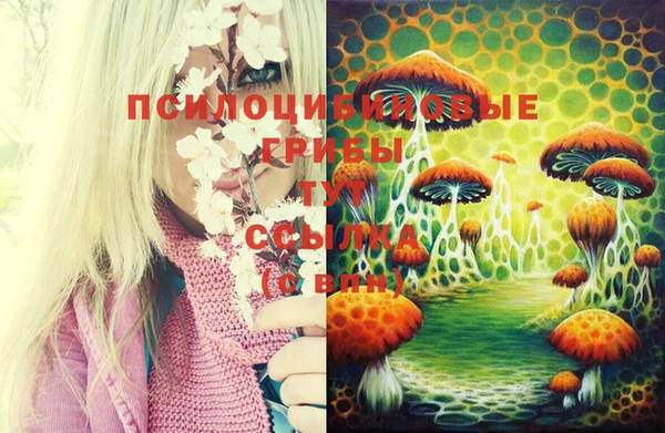 а пвп мука Ельня