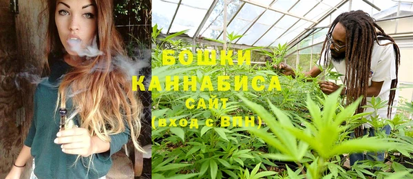 2c-b Елабуга